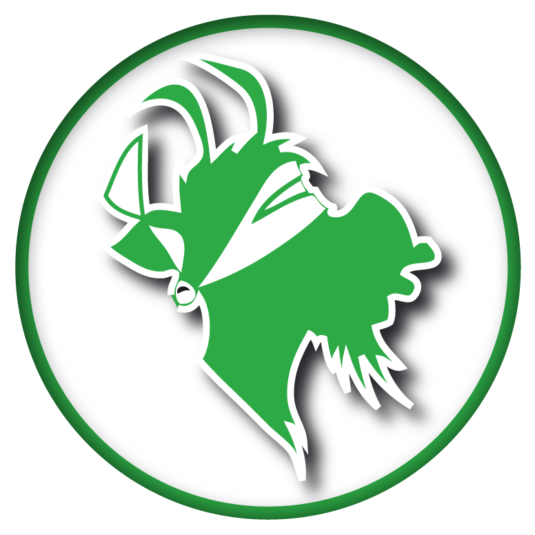 logo-elan-footer